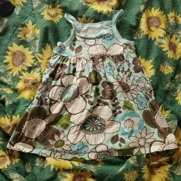 Carters 4t dress